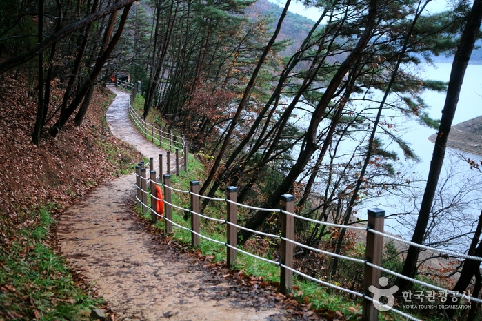 1박2일 담양