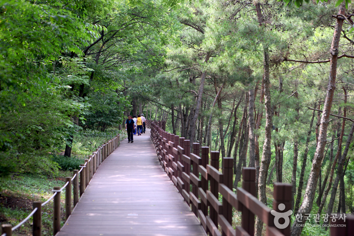 대구 1박2일 여행