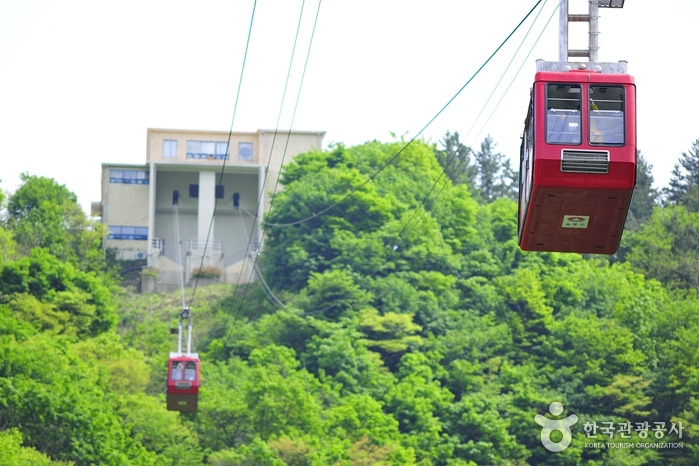 울릉도 1박2일 여행 